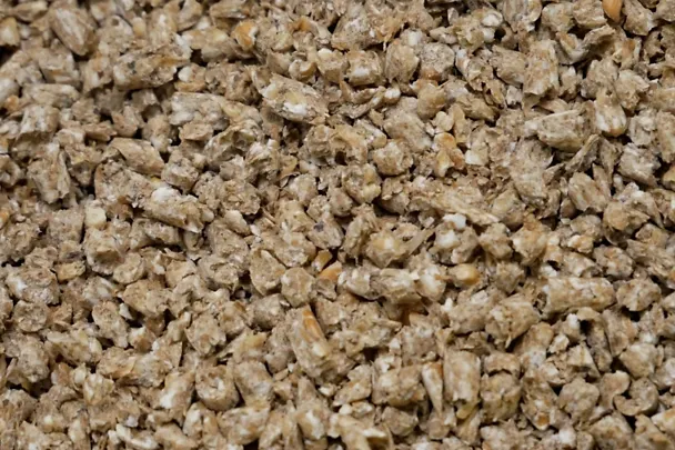 de_una_closeup_futter_carex de_una_closeup_futter_carex