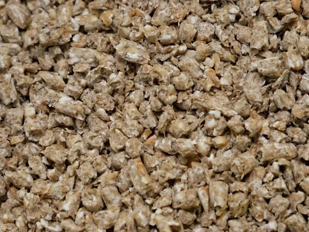de_una_closeup_futter_carex de_una_closeup_futter_carex