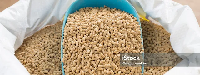 istockphoto-521602228-2048x2048 istockphoto-521602228-2048x2048